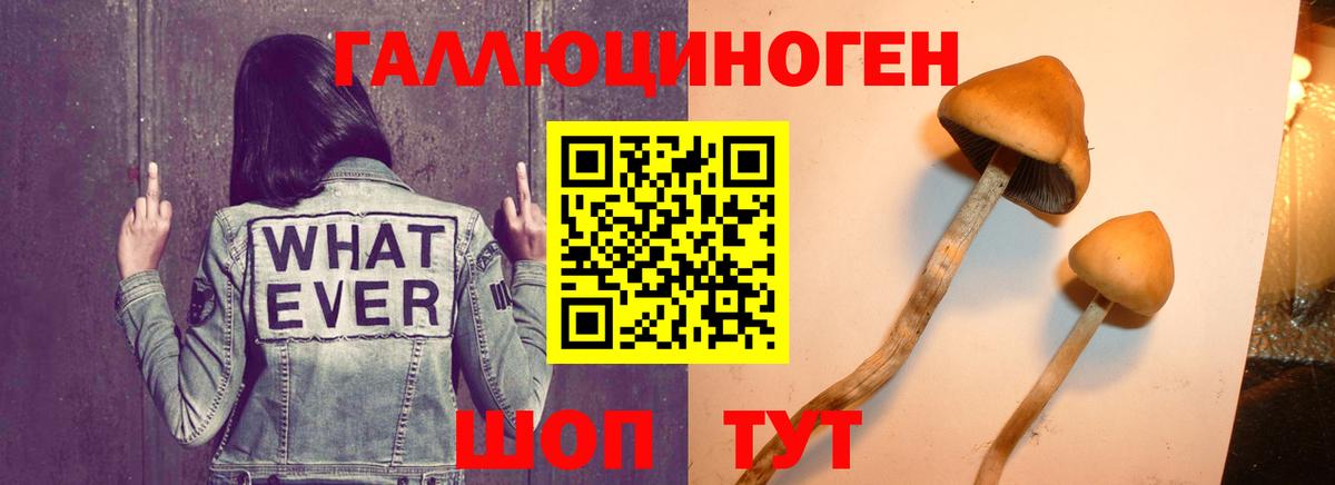 Воронеж  Псилоцибиновые грибы Cubensis  Вход с VPN  Галлюциногенные грибы ЛСД 